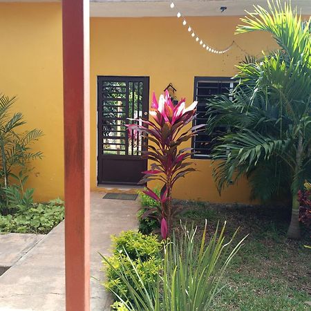 Casa Flores Bacalar Bagian luar foto